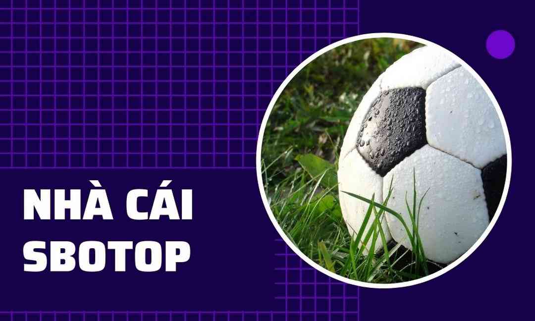 Sbotop và các điều cần phải biết