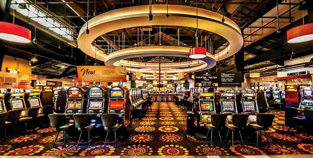 Những dịch vụ khác của Star Vegas International 