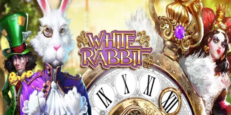 Thỏ trắng cảm hứng từ câu chuyện Alice